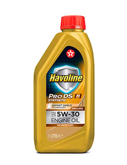 �������� ����� TEXACO Havoline ProDS M 5W-30 (1_����/Art.804036NKE)