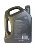 �������� ����� Shell Helix Ultra Professional AG 5W-30 (5_������)