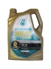 Petronas Syntium 5000 DM 5W-30 (5_)