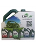 �������� ����� LivCar Energy Eco 5W-30 (�����_4+1)
