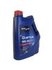 VITEX Quantum 5W-30 C3 (4_�����)