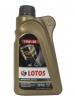 LOTOS Synthetic C2+C3 5W-30 (1_����)